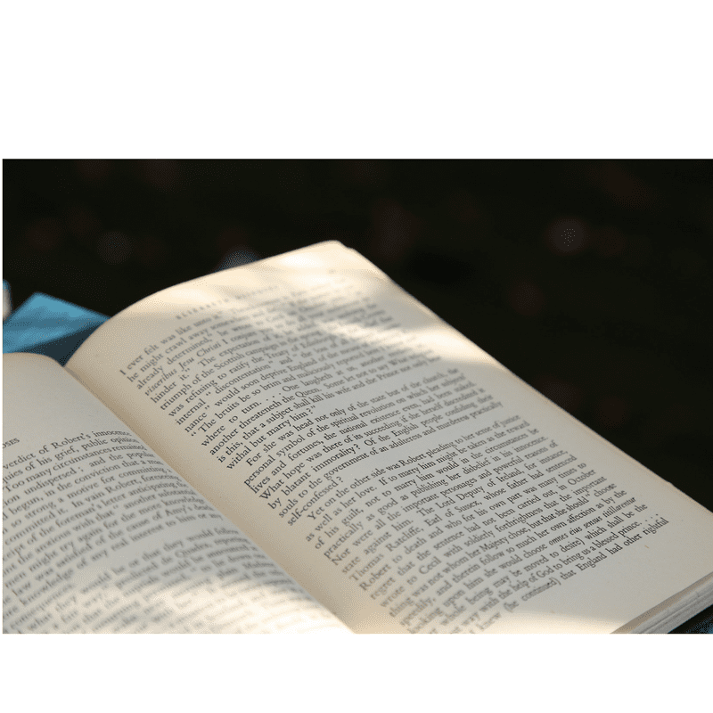 Book Rec: ‘Vex, Hex, Smash, Smooch’ by Constance Hale