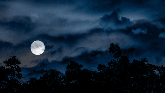 Four on the Floor with Stevie Kopas