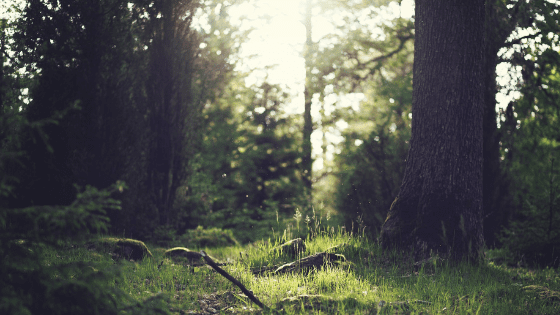 Four on the Floor with Melissa Lason and Michelle Garza