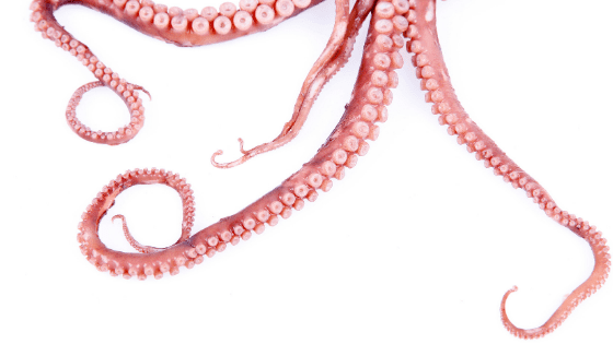 Four on the Floor with Mary SanGiovanni