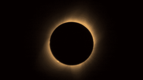 Four on the Floor with CD Miller