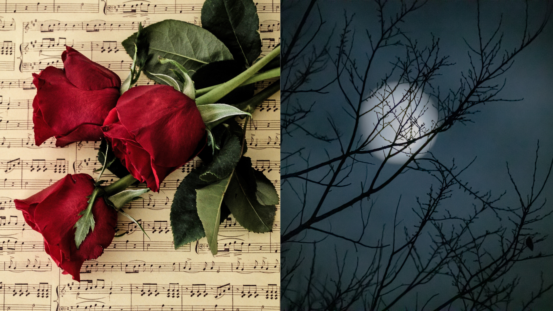 Surprising Connections Between Horror and Romance